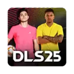 DLS 25